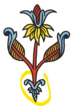 Détail surligné des formes évoquant des racines sous une fleur du Deux de Bâton CBD.